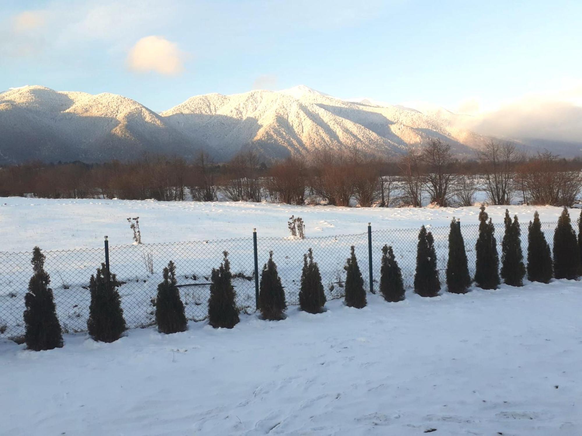 Villa Letizia Near The Pirin Golf Resort Банско Екстериор снимка